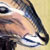 image/_animals.jpg, 3.5K