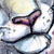 image/snowleopards.jpg, 3.5K