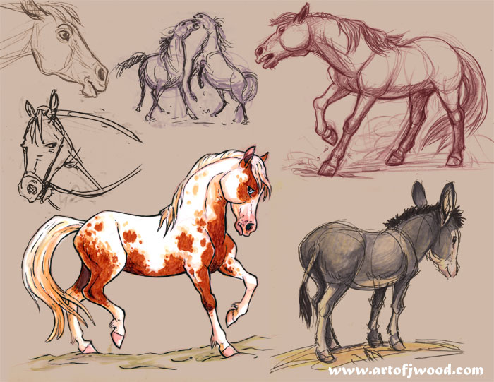 image/horses.jpg, 3.5K
